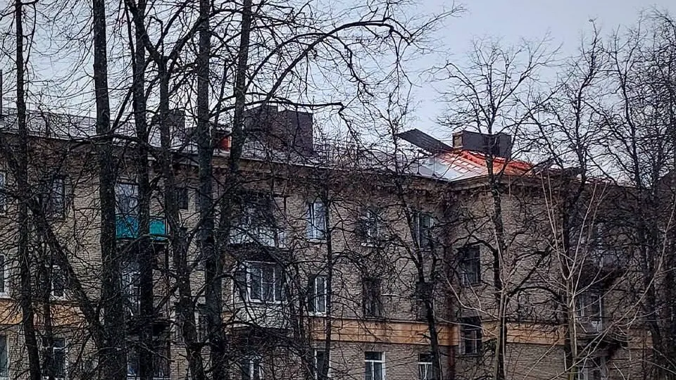 Фото: пресс-служба администрации г.о. Электросталь