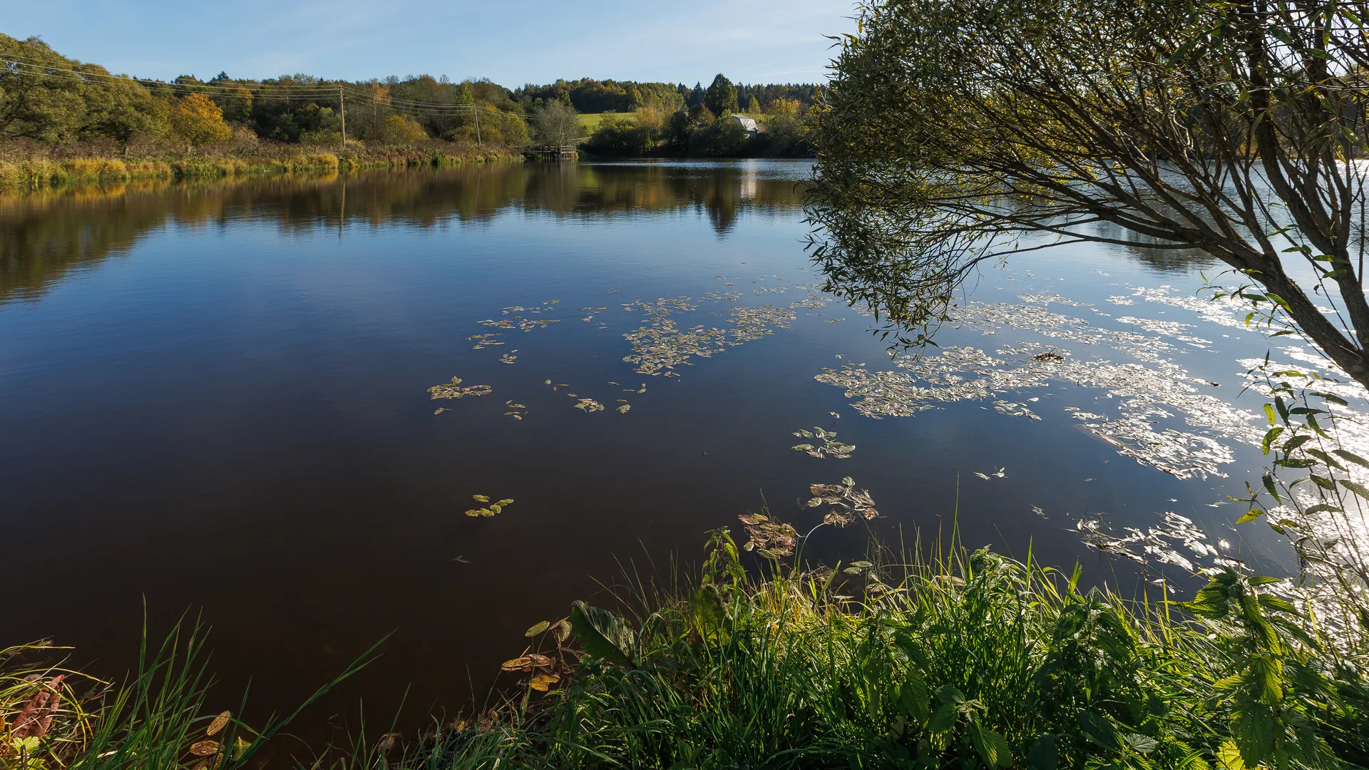 Мурановский пруд на реке Талица в деревне Ашукино округа Пушкинский