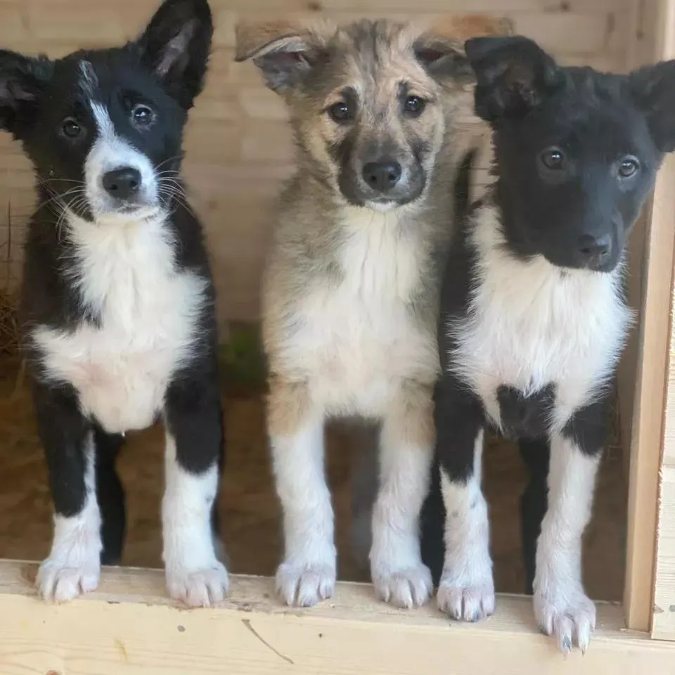 Фото: Подслушано на Глебовке (новая) / ВКонтакте