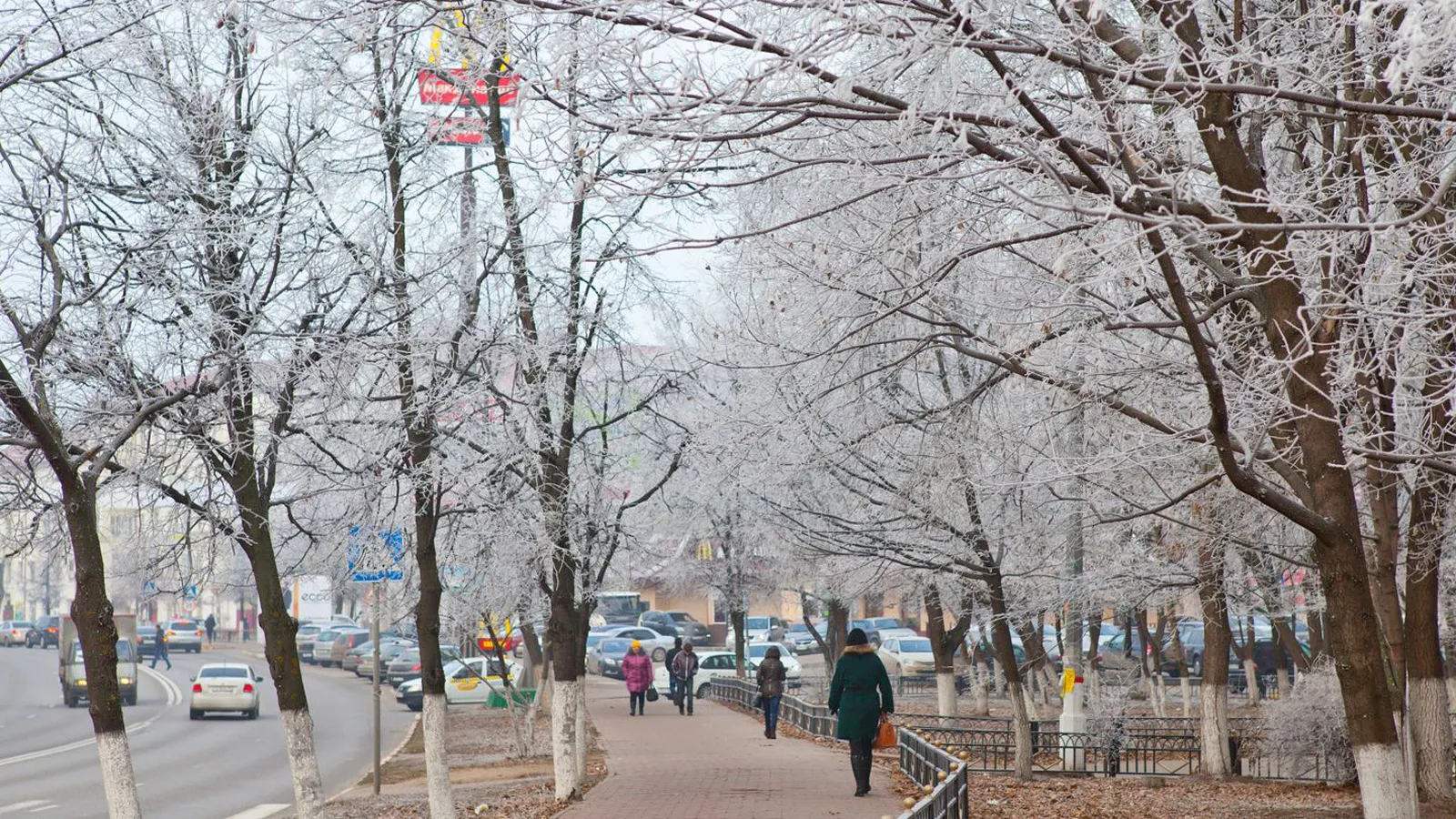 Фото: медиасток.рф