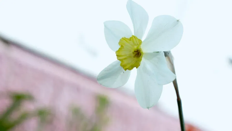 Фото: REGIONS/Наталия Надточая