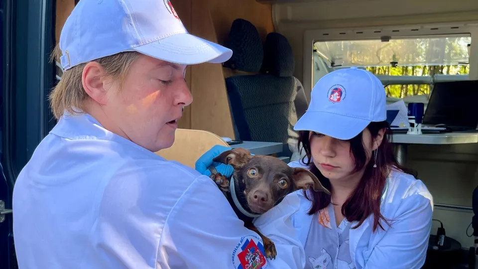 Фото: МедиаБанк Подмосковья/Анна Тюрюмина