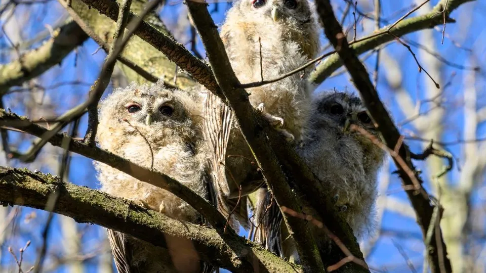 Фото: Виктор Архипенко