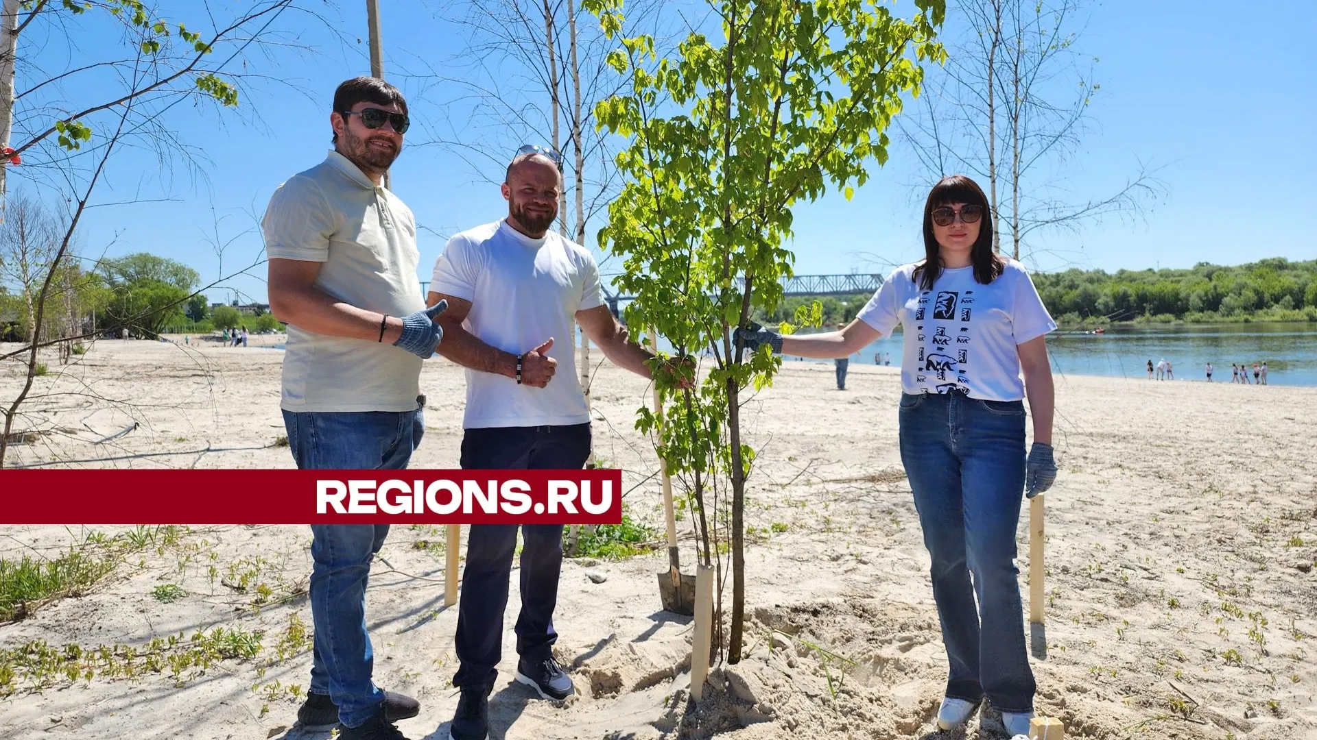 Фото: Александр Степушкин