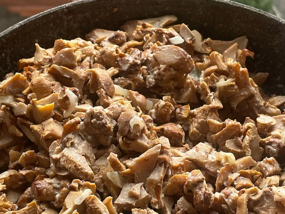 Фото: Михаил Петров