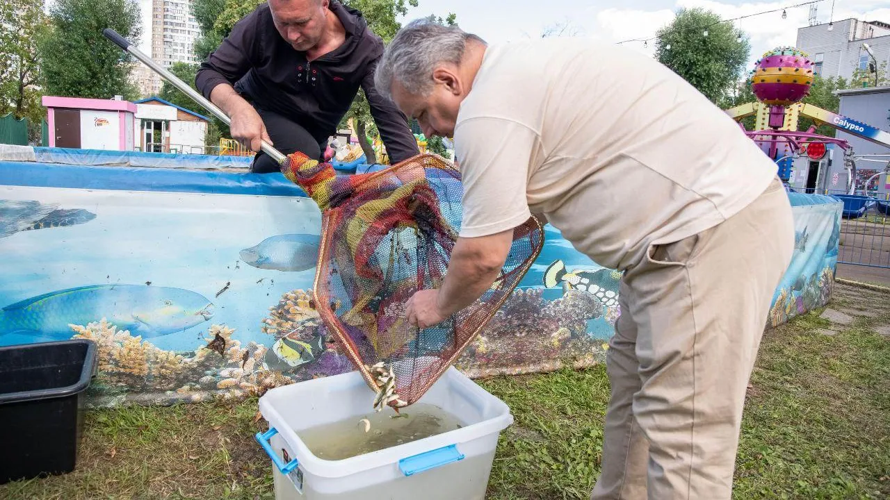 Фото: Наталья Николаева