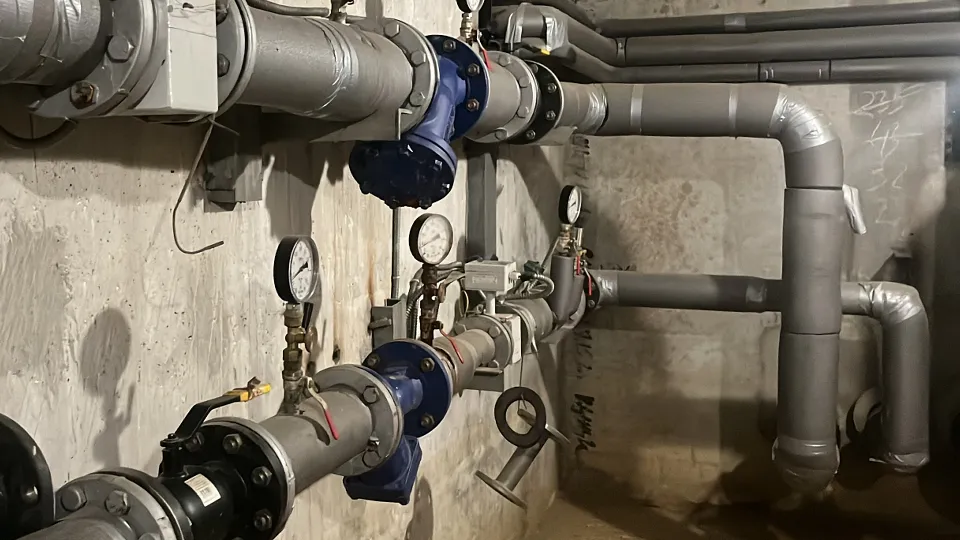 Фото: МедиаБанк Подмосковья/Елизавета Приймак