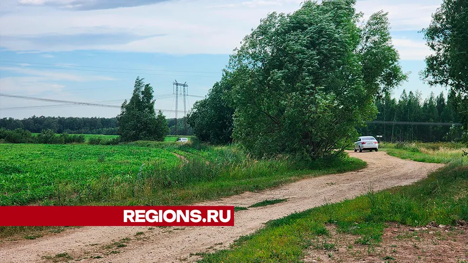 Фото: Марина Анисимова