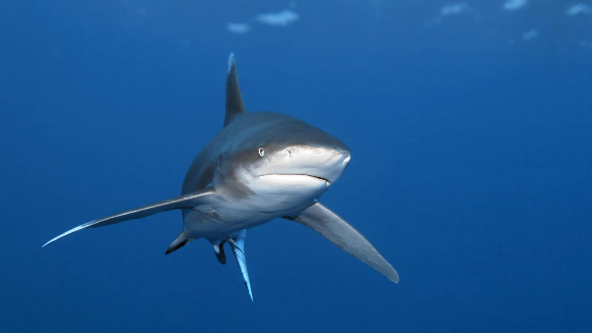 Norbert Probst/http://imagebroker.com/#/search/Global Look Press