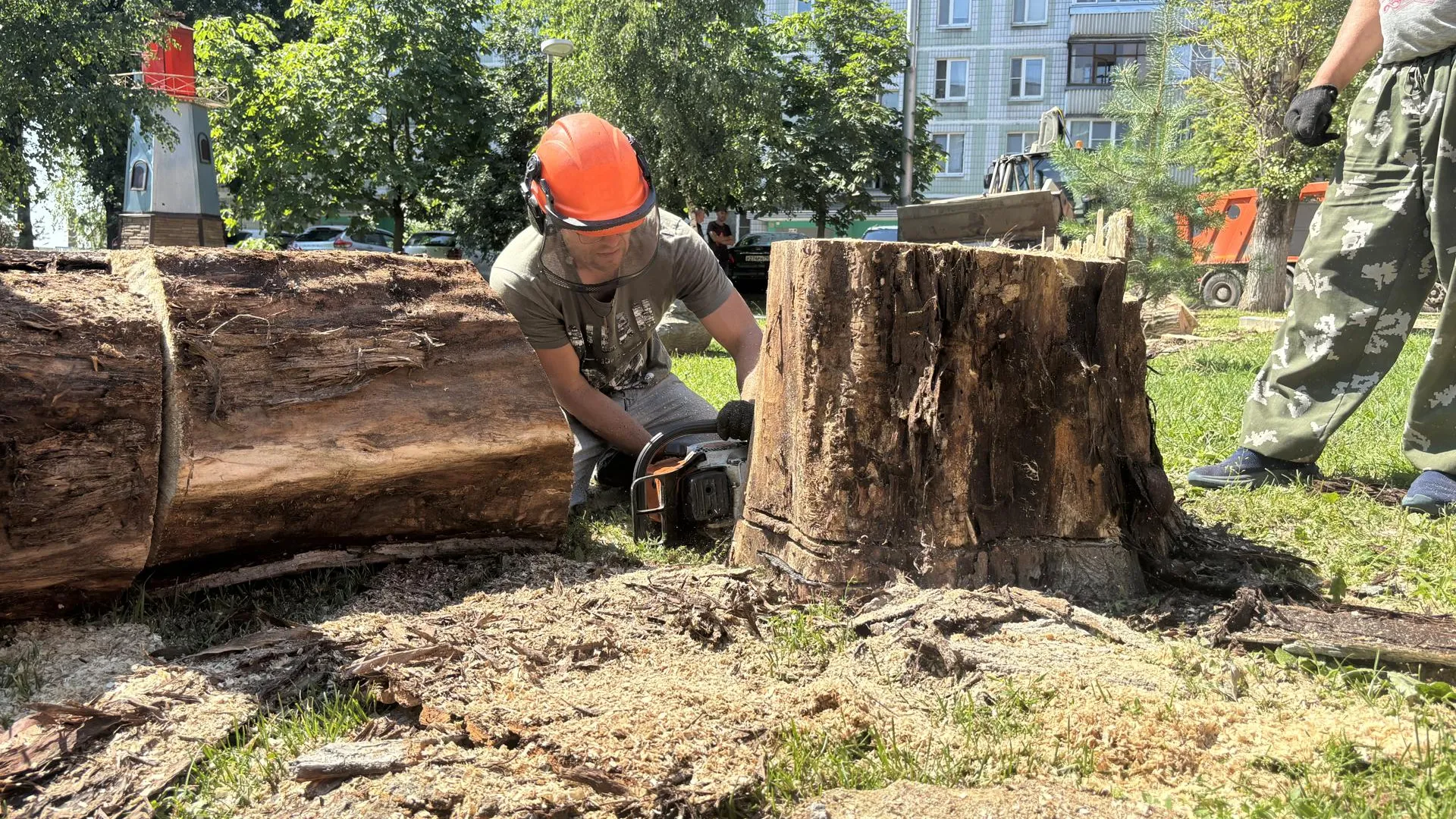 Фото: Полина Легейда