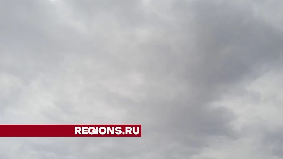 Фото: REGIONS/Юлия Куделькина