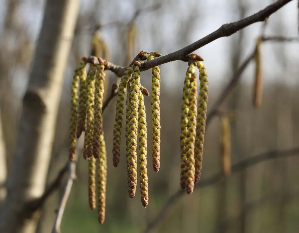 Фото: REGIONS/Сгенерировано нейросетью