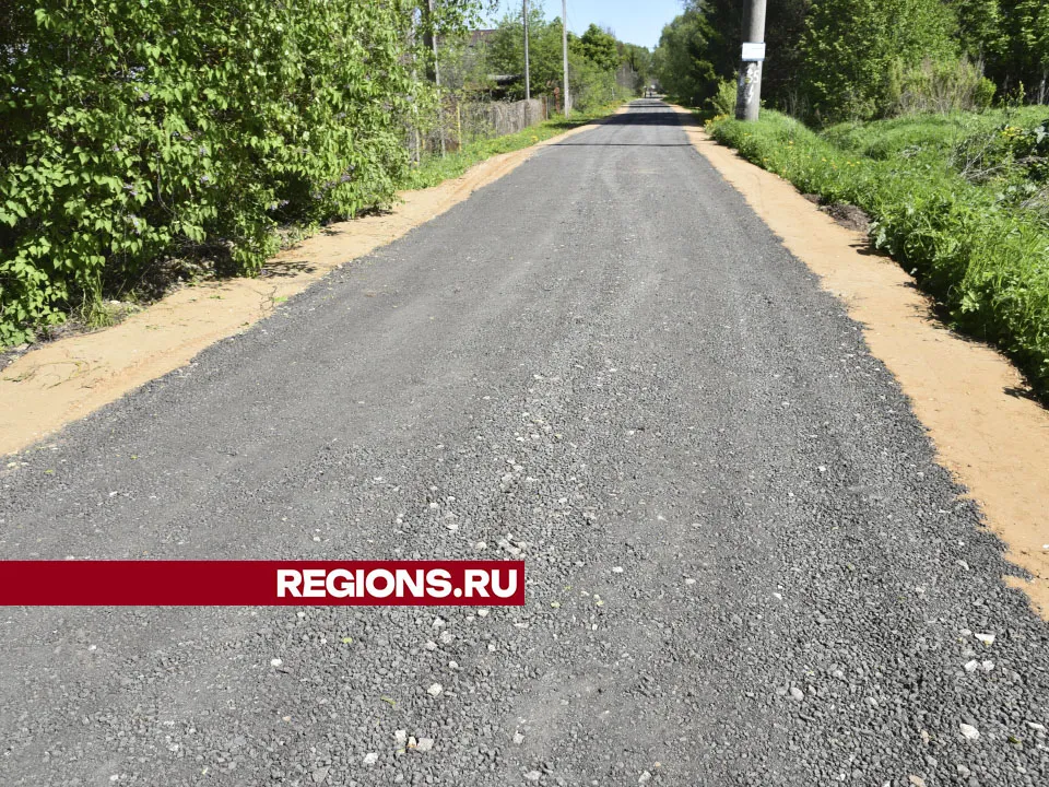 Фото: Владимир Останин