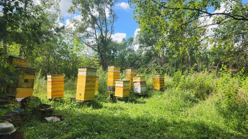 Фото: МедиаБанк Подмосковья/Мария Панина