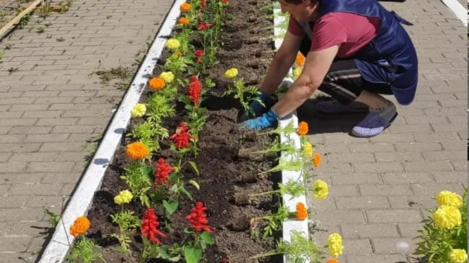 Фото: vk.com/Дмитрий Белов