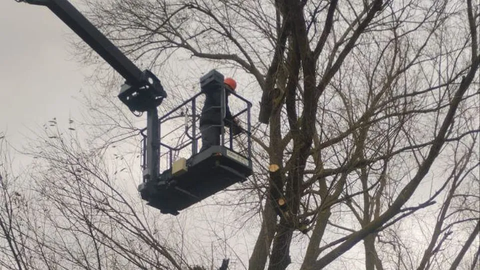 Фото: администрация г.о. Серебряные Пруды