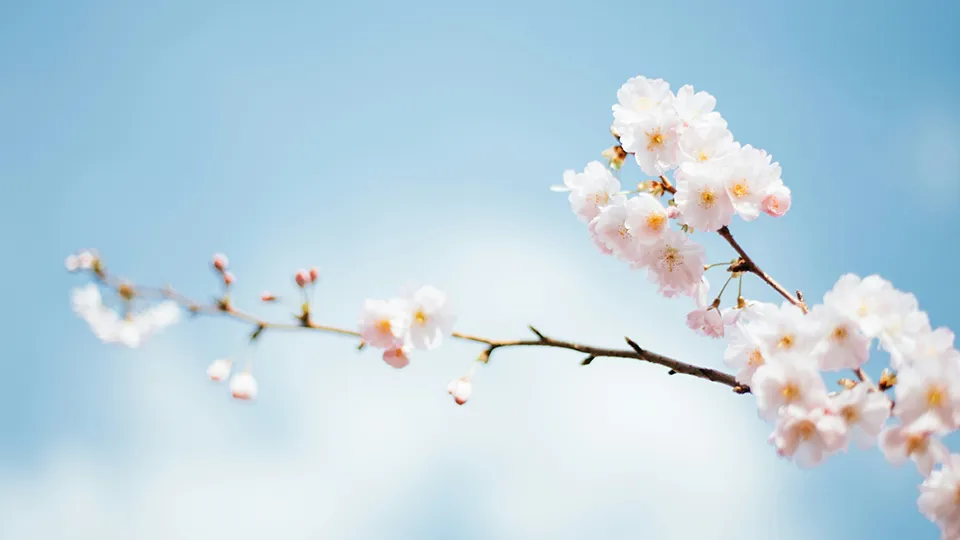 Фото: unsplash.com