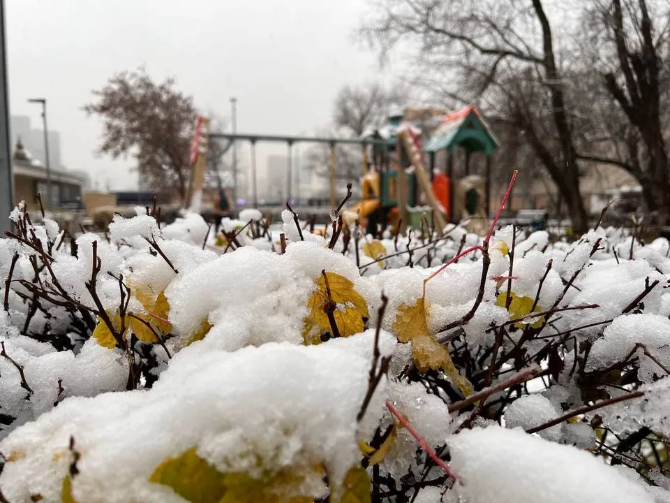 Фото: REGIONS/Елена Фурман