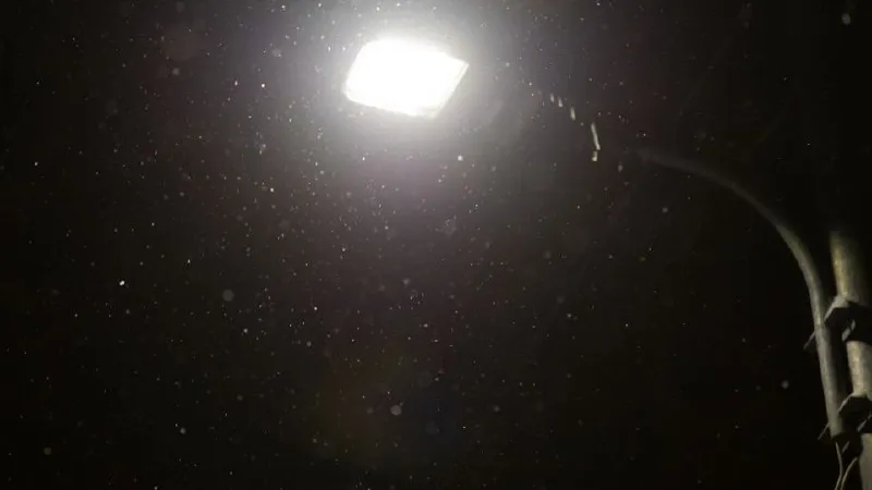 Фото: REGIONS/Владимир Ерастов