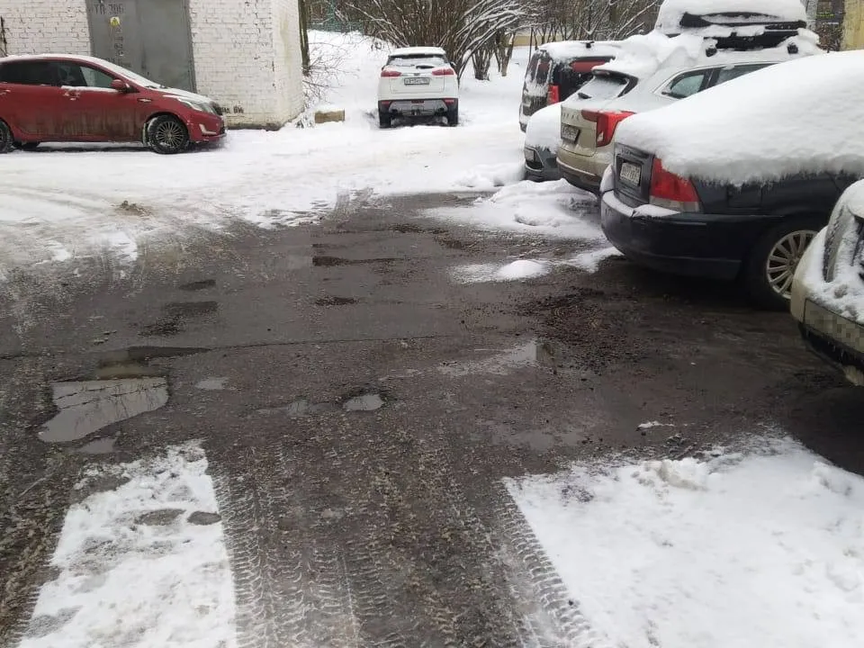 Фото: пресс-служба администрации г.о. Химки