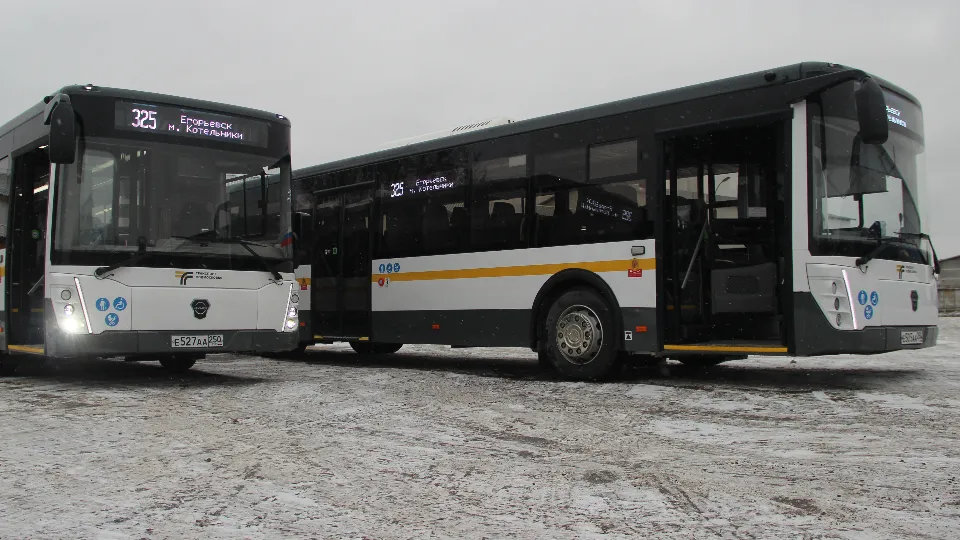 Фото: REGIONS/Василий Тремасов