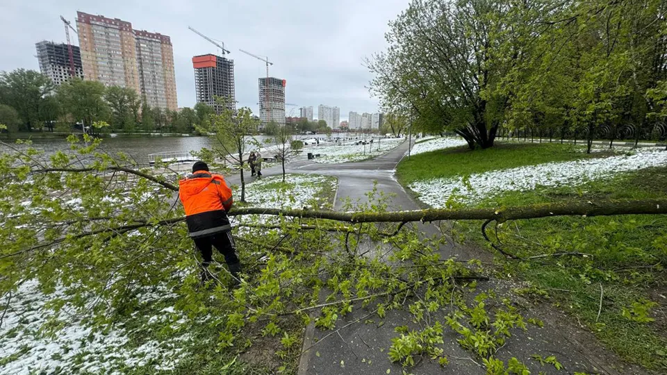 Фото: t.me/Krasnotsvetov_MV