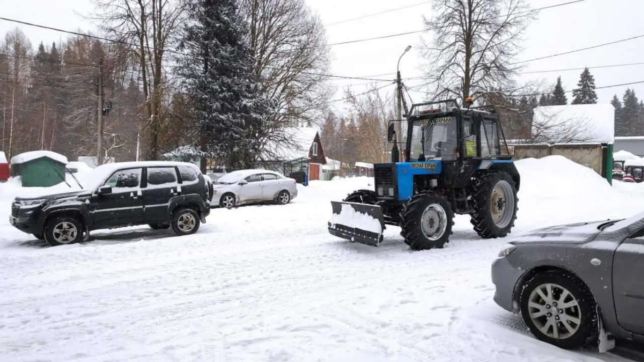 Комлесхоз МО