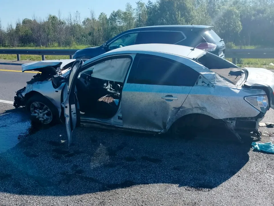 Фото: ГКУ МО&nbsp;«Мособлпожспас»