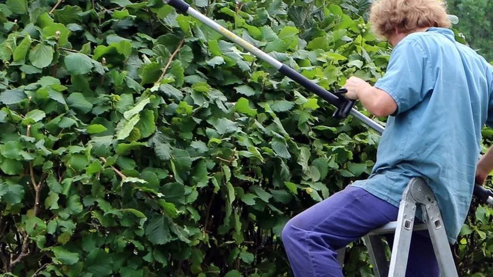 Фото: pxhere.com