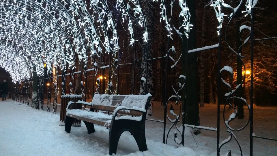 Фото: медиасток.рф