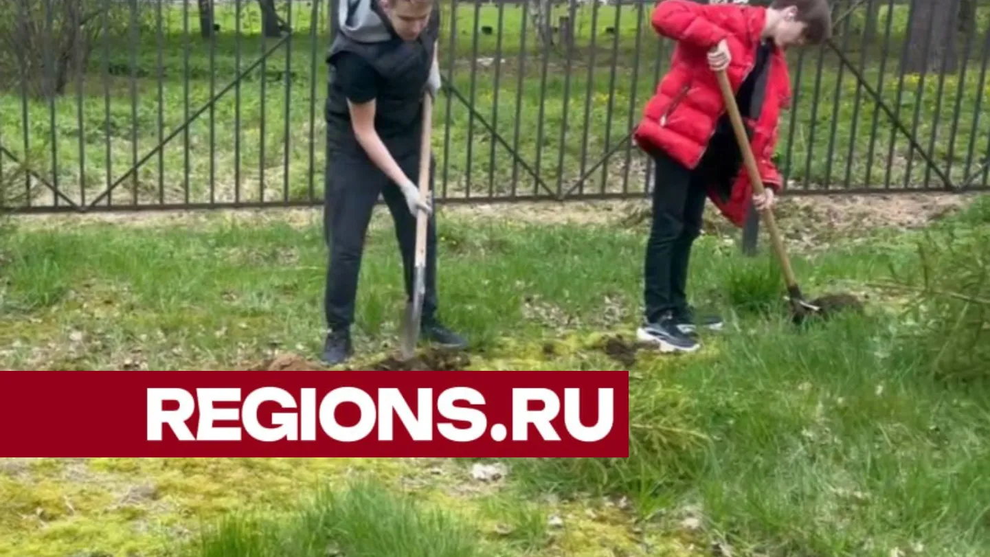 Фото: Ксения Афонина