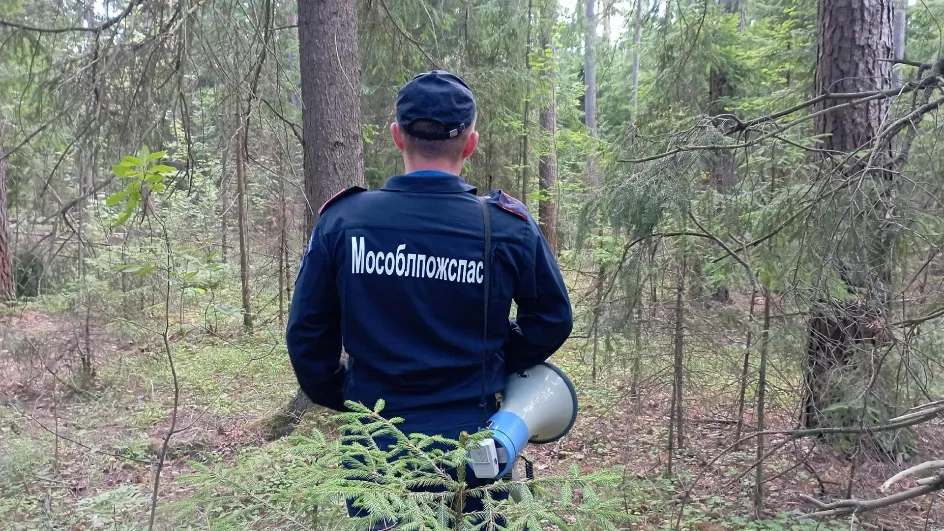 Фото: ГКУ МО «Мособлпожспас»