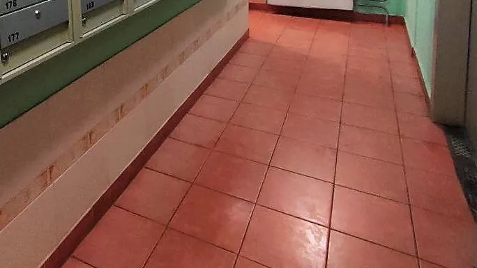 Фото: ГУСТ Московской области