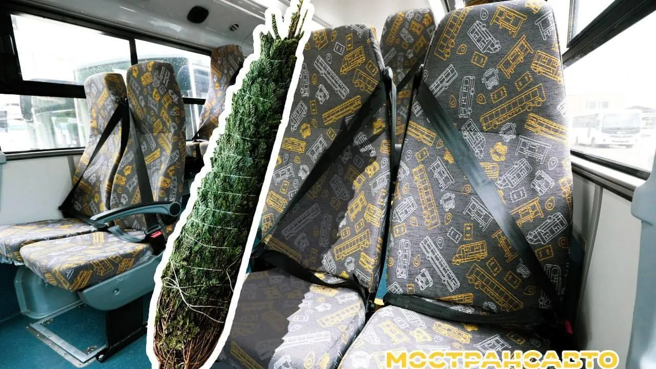 Жителям Подмосковья в преддверии Нового года напомнили, как перевозить елку в автобусах