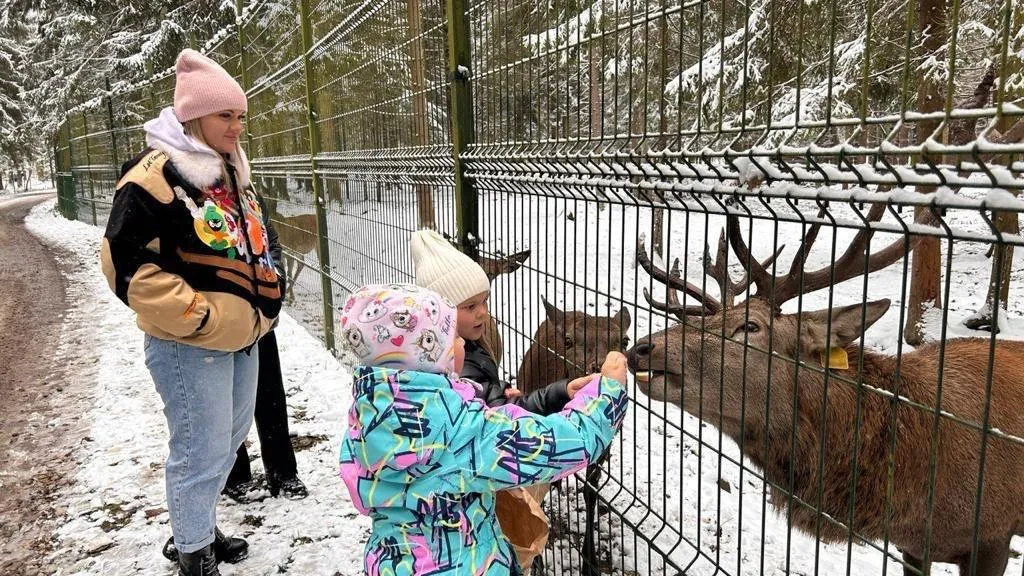 Фото: Юрий Крупенин/ТГ-канал