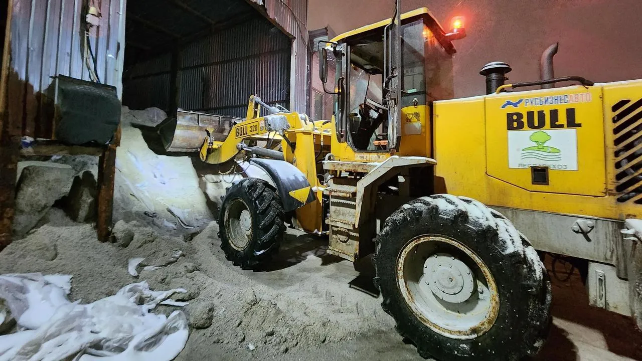 МедиаБанк Подмосковья/Валерия Исаева