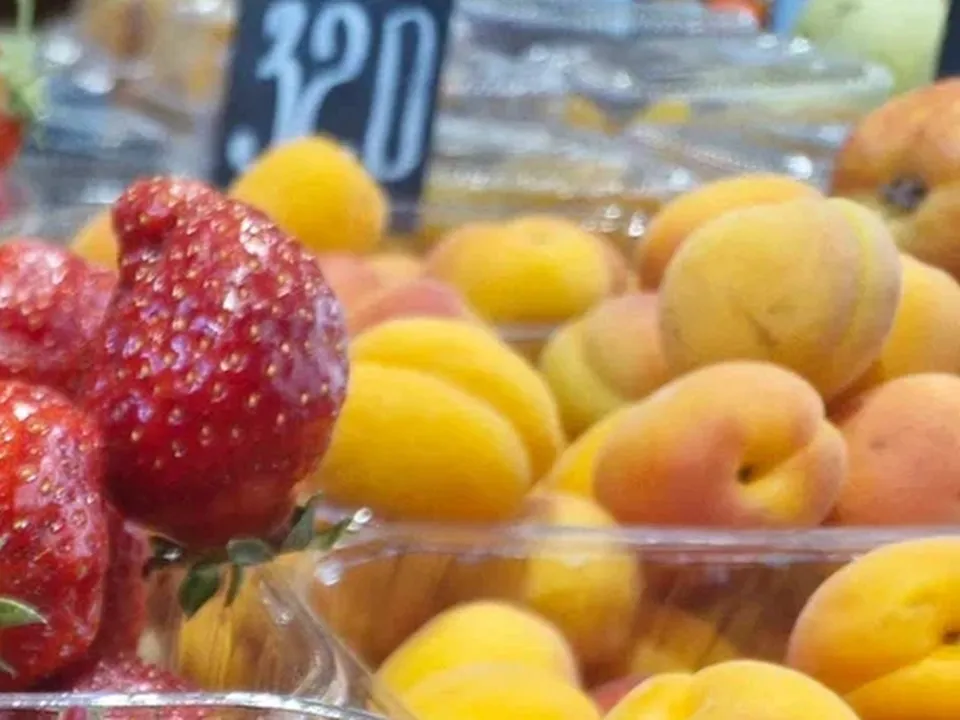 Фото: REGIONS/Наталия Надточая