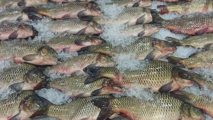 Фото: pixabay.com