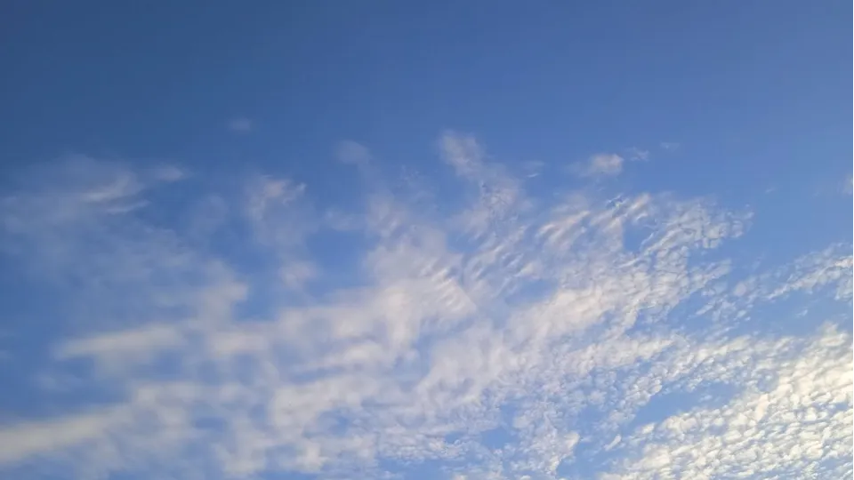 Фото: REGIONS/Юлия Куделькина