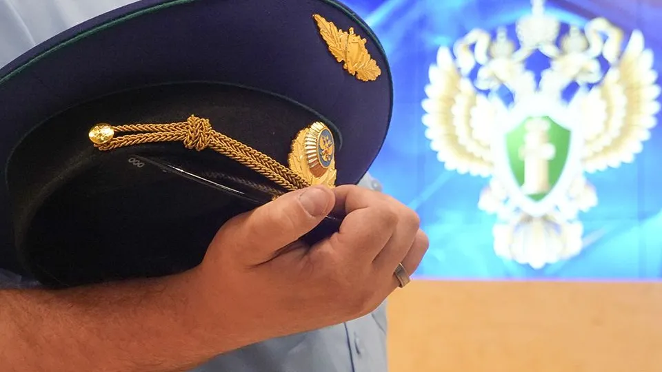 Фото: пресс-служба прокуратуры Московской области