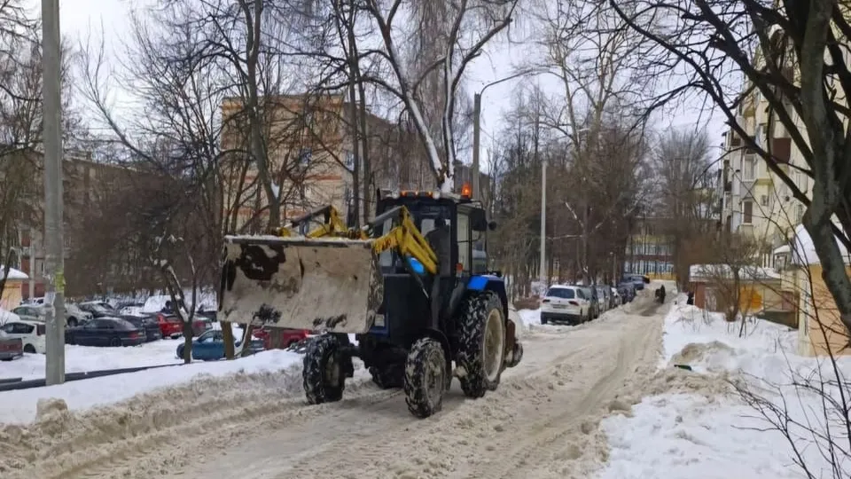 Фото: МедиаБанк Подмосковья/Светлана Плотникова