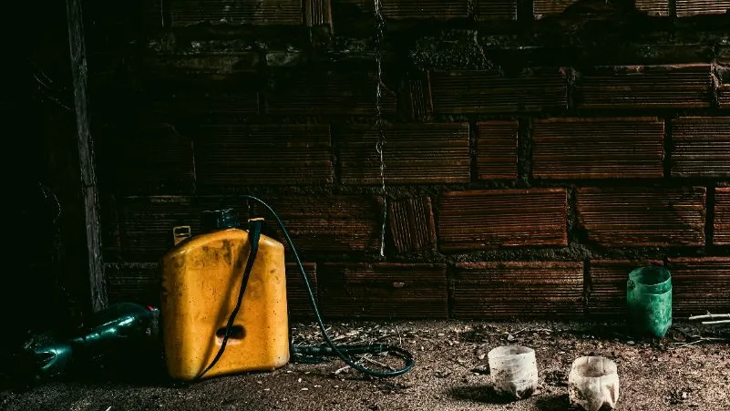 Фото: freepik.com