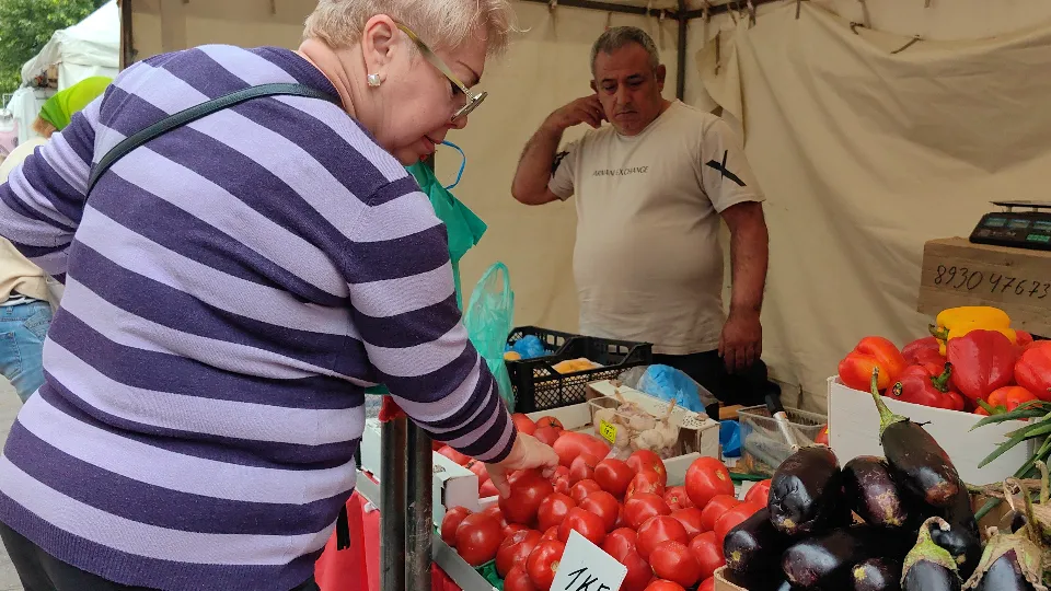 Фото: МедиаБанк Подмосковья/Елена Катасонова