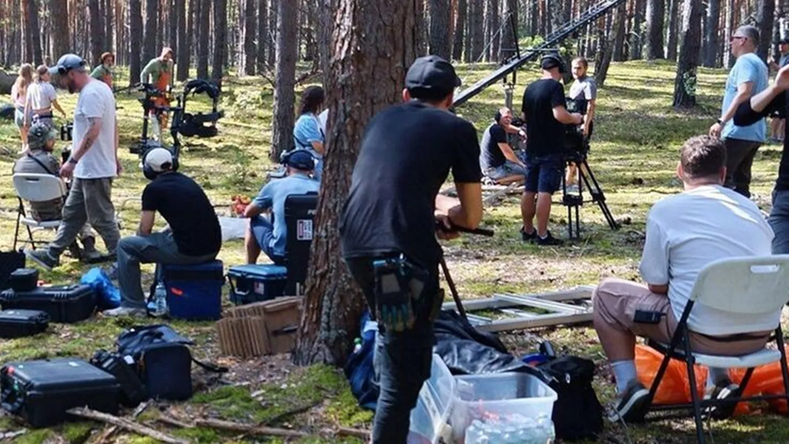 Фото: Комитет лесного хозяйства МО