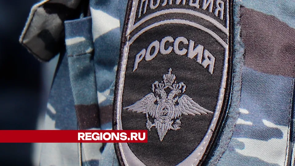 Фото: REGIONS/Василий Тремасов