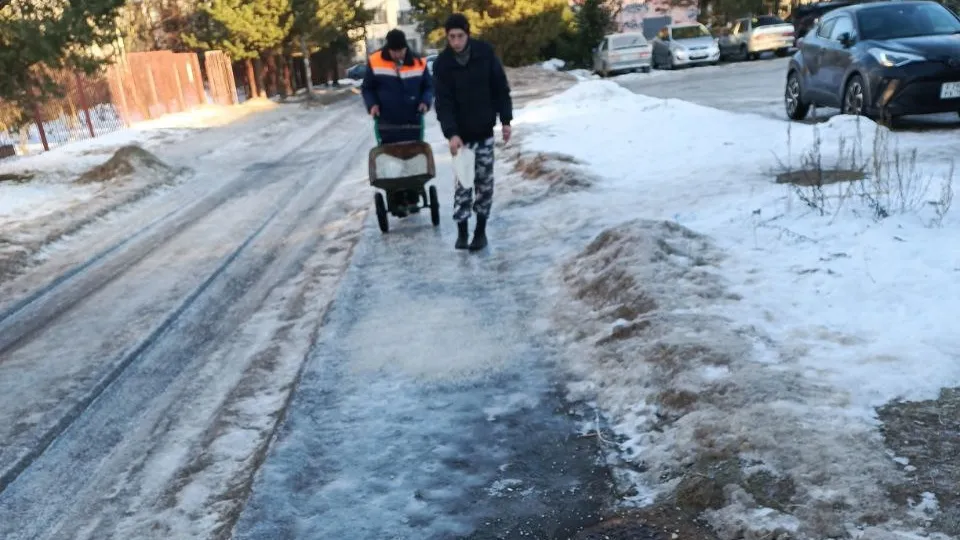 Фото: администрация городского округа Одинцово