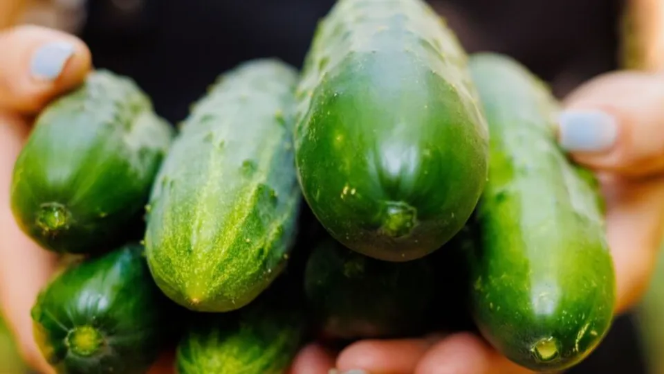 Фото: istockphoto.com