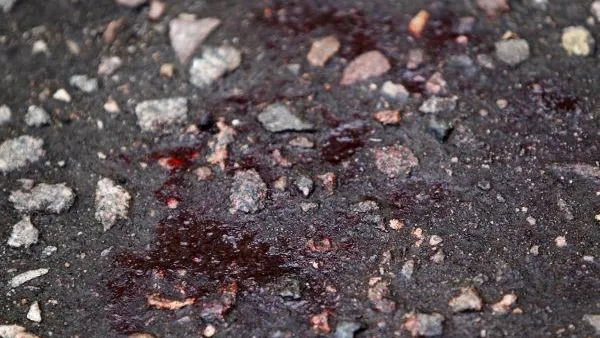 Шею проткнули женщине в бесхозном сарае Солнечногорского района