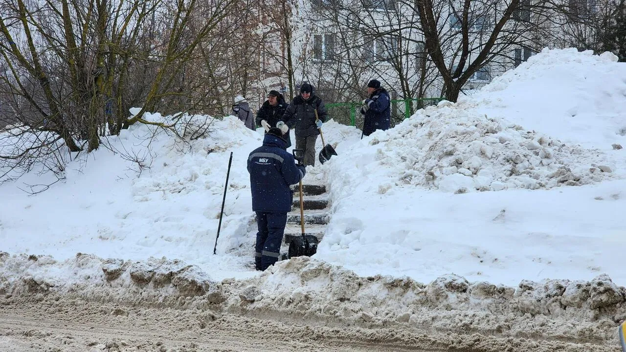 REGIONS/Валерия Тингаева