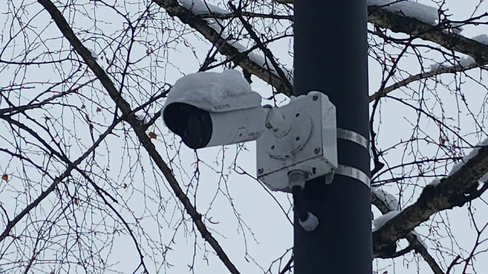 Фото: МедиаБанк Подмосковья/Дмитрий Беденко